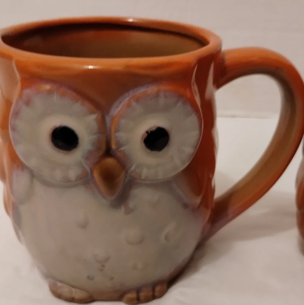 2 Owl Coffee Mugs